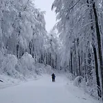 Kordíky * Kordiky