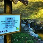 Kordíky