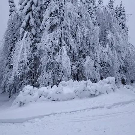Kordíky Kordiky