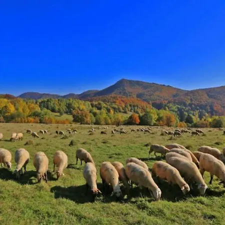 Kordíky Сasa de vacaciones *