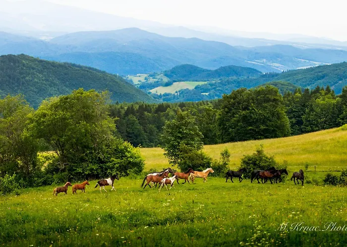 Hébergement de vacances Kordiky